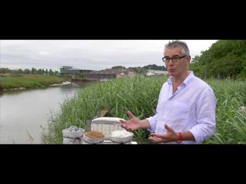 Our Organic Lambswool