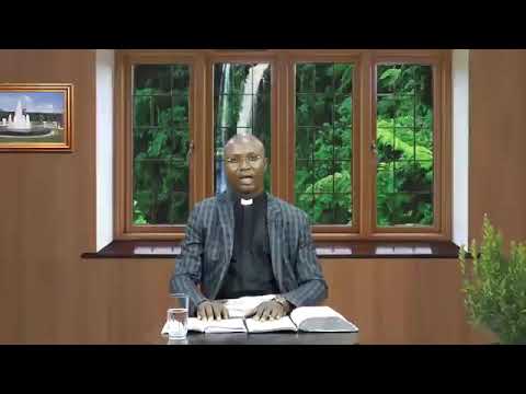 THE DAILY FOUNTAIN OF AUGUST 15, 2017