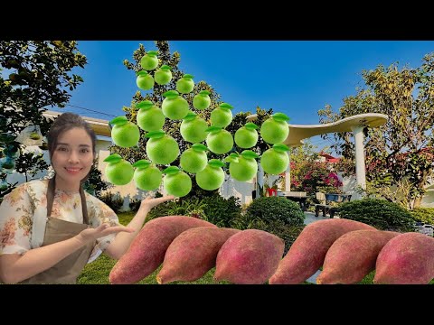 #08 A Doce Simplicidade da Vida no Campo: Cozinhar Batata Doce | Vlog Diário