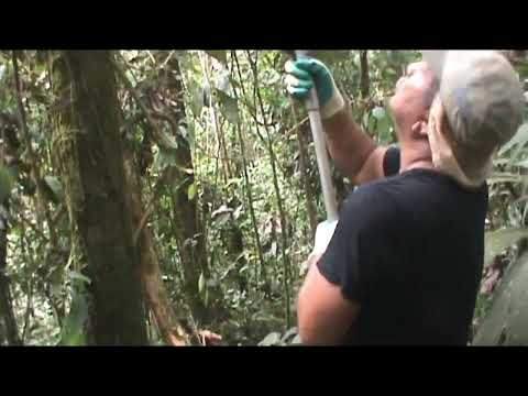 Field work near Cascales, Sucumbíos, Ecuador