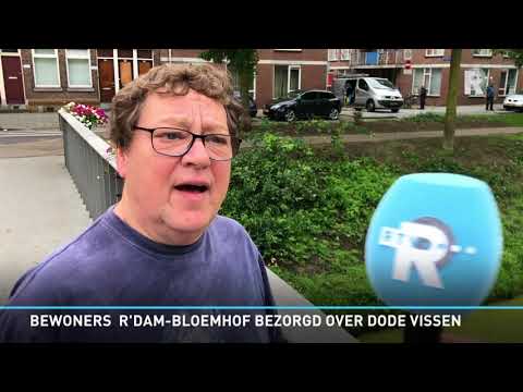 Rijnmond Nieuws - 4 juni 2018