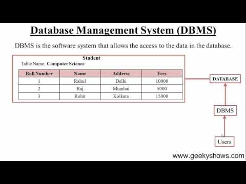 3 What is DBMS Hindi