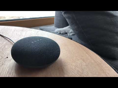 Google Home Mini po polsku przypomina o wódce z sąsiadami