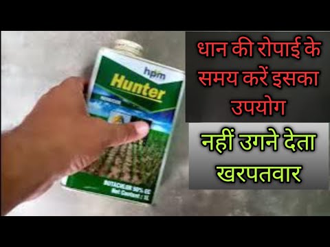 Butachlor 50 Ec And Agricultural Herbicide