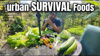"Grow a THRIVING Survival Garden in Your Urban Backyard (Even if You're a Beginner!)