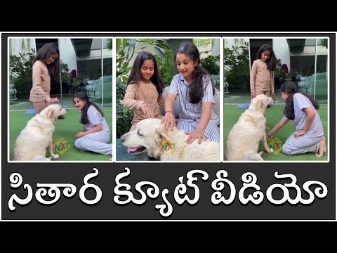 Mahesh Babu Daughter Sitara And Her Friend Playing With Dog | TVNXT Telugu