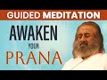 Tap Into Infinite Energy Guided Meditation Gurudev