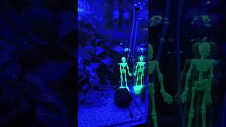 Miniatura filmu z YouTube
