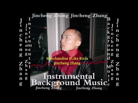 Jincheng Zhang - Microscopic I Like Birds (Official Instrumental Background Music)