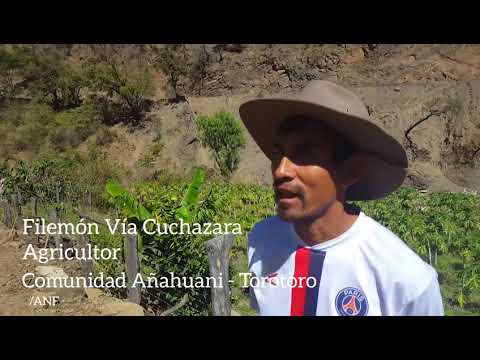 , title : 'Construcción de terrazas para conservación de suelos (Añahuani)'