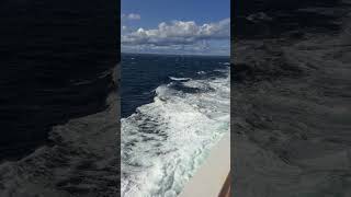 MSC Large waves on the starboard side of a cruise ship #holiday