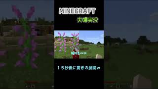 【マインクラフト】15秒後に驚きの展開w