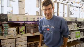 We Wanted to Find The BEST Growlight Anyone Can Buy at A HAR