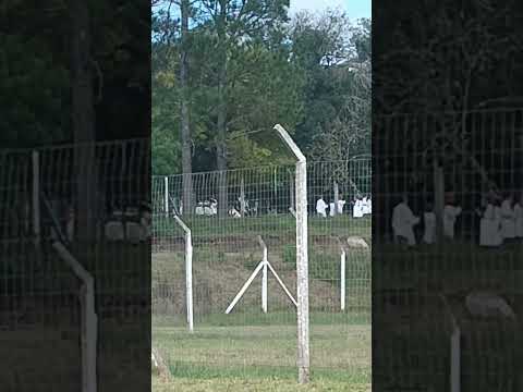 Votre paix intérieure vaut plus que de l'or      #Acegua , departamento de Cerro Largo , Uruguay 🇺🇾