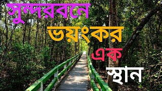 preview picture of video 'সুন্দরবন ভ্রমন'