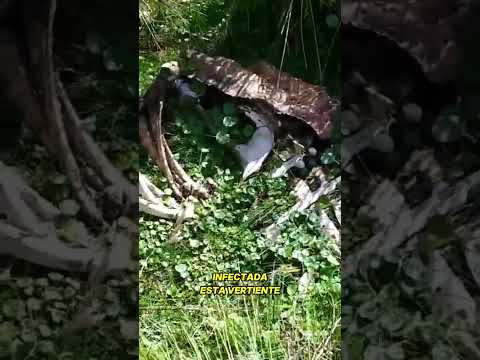 ⚠️ ¡Cuidado! Las vertientes de las sierras parecen puras… pero pueden estar contaminadas!!!