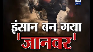 Insaani Jaanwar: People are mistreating street dogs by spinning them in the air