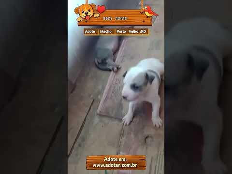 Vídeo de sem nome 