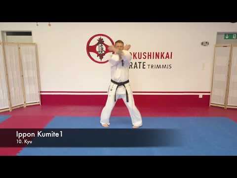 10.Kyu Kyokushinkai Ippon Kumite 1