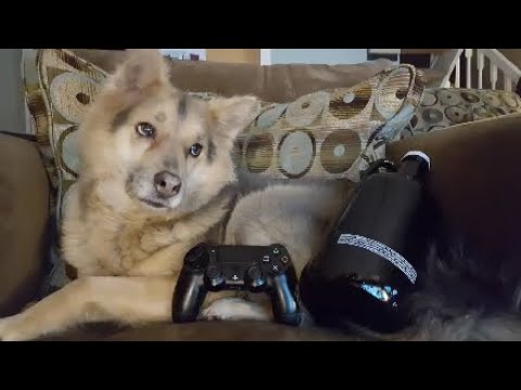 Ark Survival Evolved Zoo: Ep2 Breeding Pens, Taming and Surprises