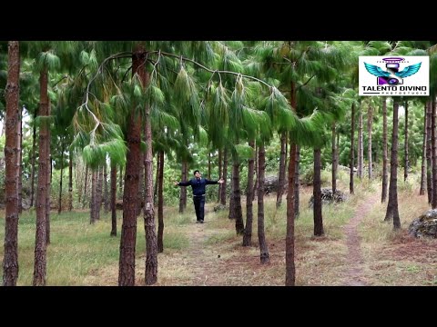 GUIAME SEÑOR / TALENTO DIVINO MINISTERIO / 2018