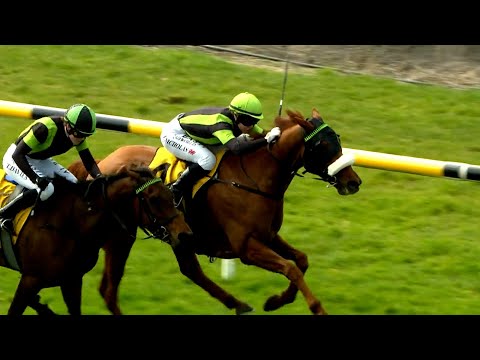 Hit The Road Jack takes out the Signright Open