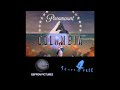 DLC Paramount Pictures Columbia Pictures Geffen Pictures Scott Free Productions 2004