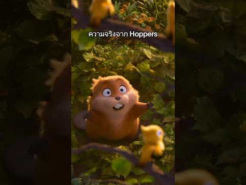 🦫หนึ่งสิ่งใน Hoppers ที่มีอยู่ในชีวิตจริง ให้เป็นหนัง Pixar อันดับต้นๆได้เลย 🌳♥️#MajorTogether