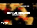 Q-Mark x TpZee x Afriikan Papi - Impilo Imnandi (Official Lyric Video)