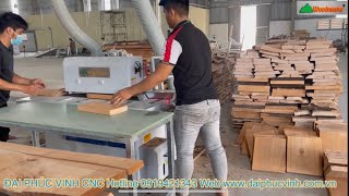 MÁY CƯA RONG RIPSAW LƯỠI DƯỚI WOODMASTER WM-14R Inverter