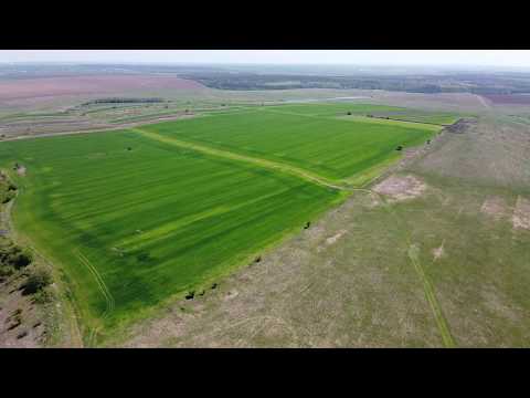 Padure Calinesti jud. Teleorman