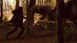 New Moon Soundtrack-11 Wolves vs. vampire