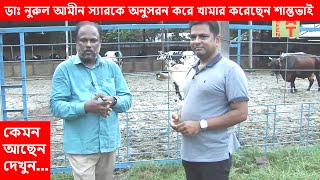 সুন্দর ডেইরী খামার