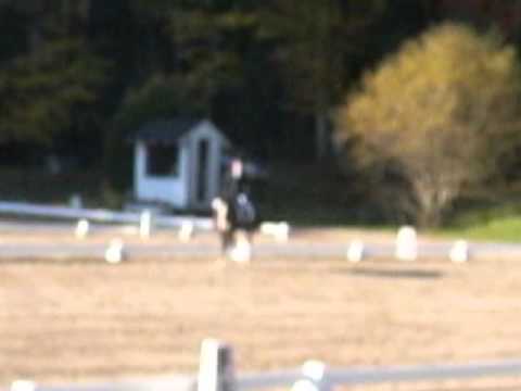 Apple Knoll 2012 Training Dressage