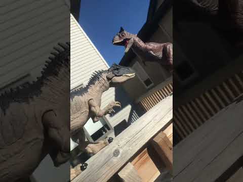 Adult Allosaurus Vs Toro
