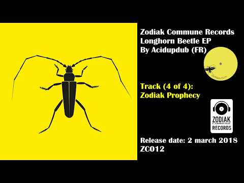 ZC012 - Longhorn Beetle EP - Acidupdub