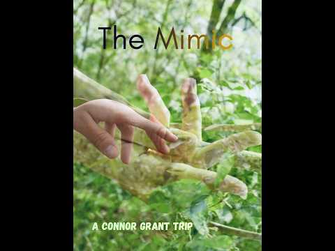 The Mimic