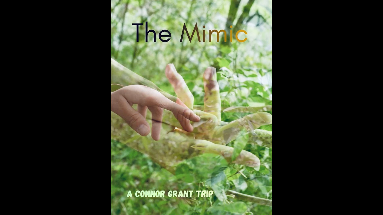 Trailer thumbnail
