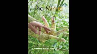 The Mimic