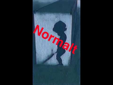 Bjerre Ft. AP - Normalt