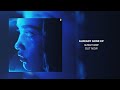 Nick Alexandr Already Gone Official Audio