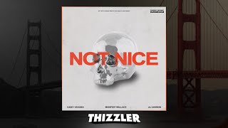 Manifest Wallace  ft. Casey Veggies &amp; Lil Darrion - Not Nice [Thizzler.com]