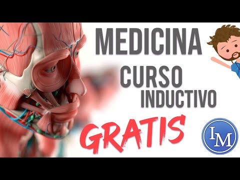 Curso Inductivo | Facultad de Medicina Día 2 | Introducción a la Bioquímica