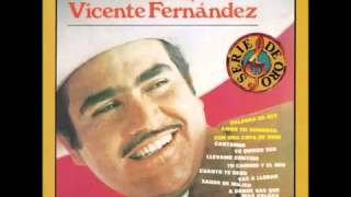 Vicente Fernandez - Llevame Contigo