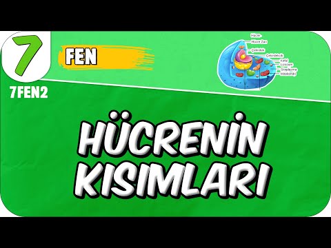 Hücrenin Kısımları ve Geçmişten Günümüze Hücre 📗 7. Sınıf Fen #2025