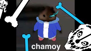 Cover art for CHAMOY