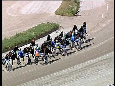 Trotto 13/06/2019 - 4ª corsa