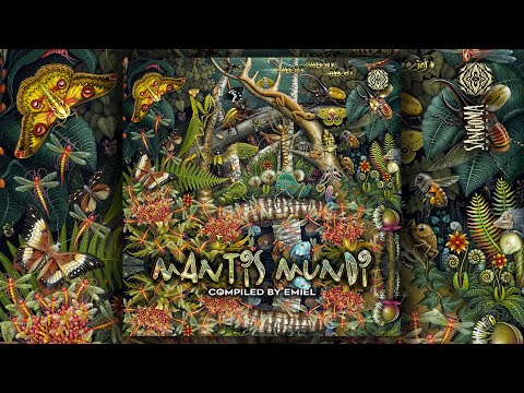 Biophotons, Antonymous - Frame of Thought