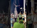 Weighing Giant Blue Marlin Marlin Fishing Fishing Fish Seafood
