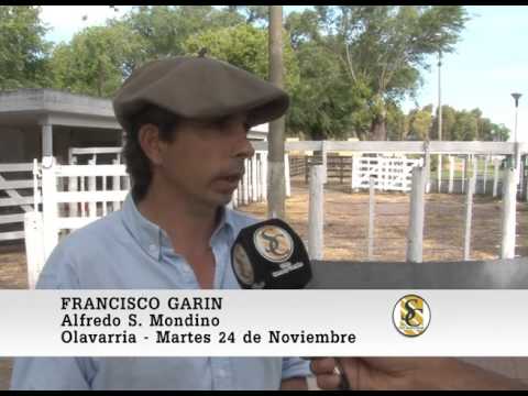24-11-15 Nota Francisco Garìn - Alfredo S. Mondino - Olavarria.